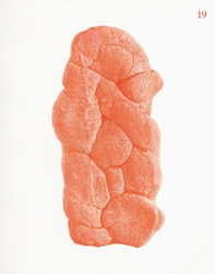 Comunicazionepuntodoc - Vol. 19 - Librerie.coop