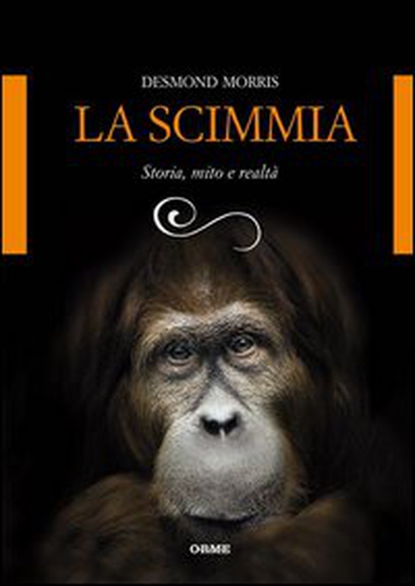 La scimmia. Storia, mito e realtà - Librerie.coop La scimmia. Storia, mito e realtà - Librerie.coop