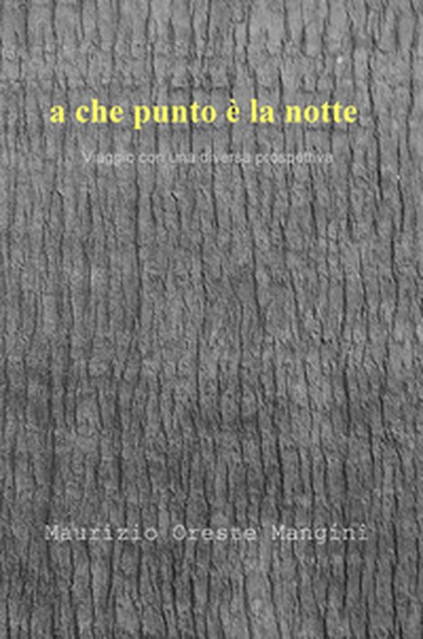 a che punto e la notte. Viaggio con una diversa prospettiva - Librerie.coop a che punto e la notte. Viaggio con una diversa prospettiva - Librerie.coop