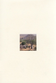 Taneka Beri. Premio internazionale Carlo Scarpa per il giardino - Librerie.coop