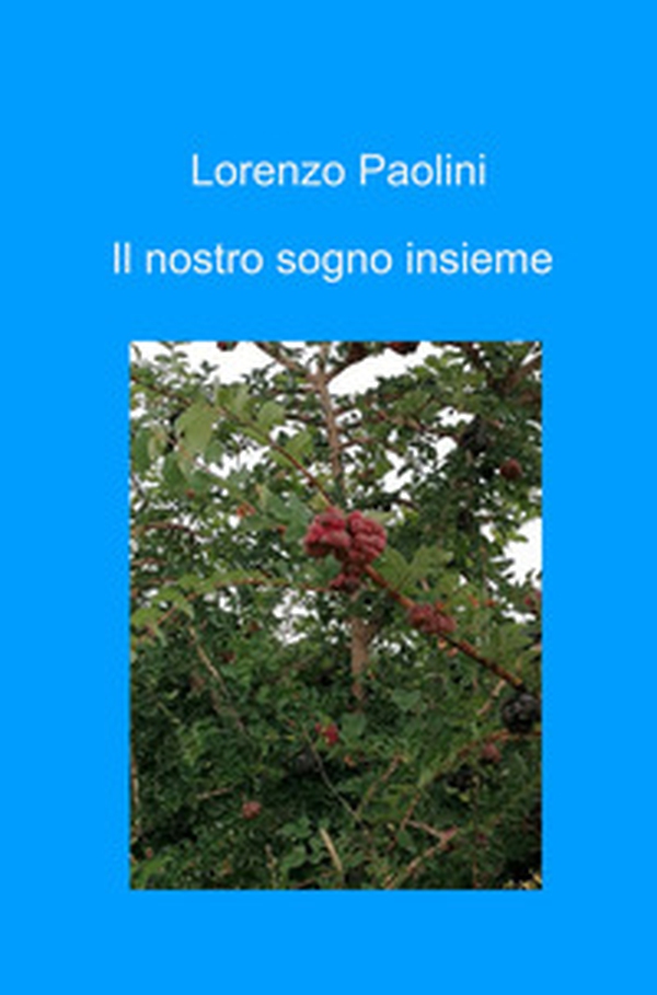Il nostro sogno insieme - Librerie.coop Il nostro sogno insieme - Librerie.coop