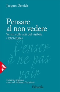 Pensare al non vedere - Librerie.coop