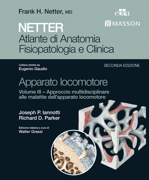 NETTER Atlante di anatomia fisiopatologia e clinica: Apparato Locomotore 3 - Librerie.coop