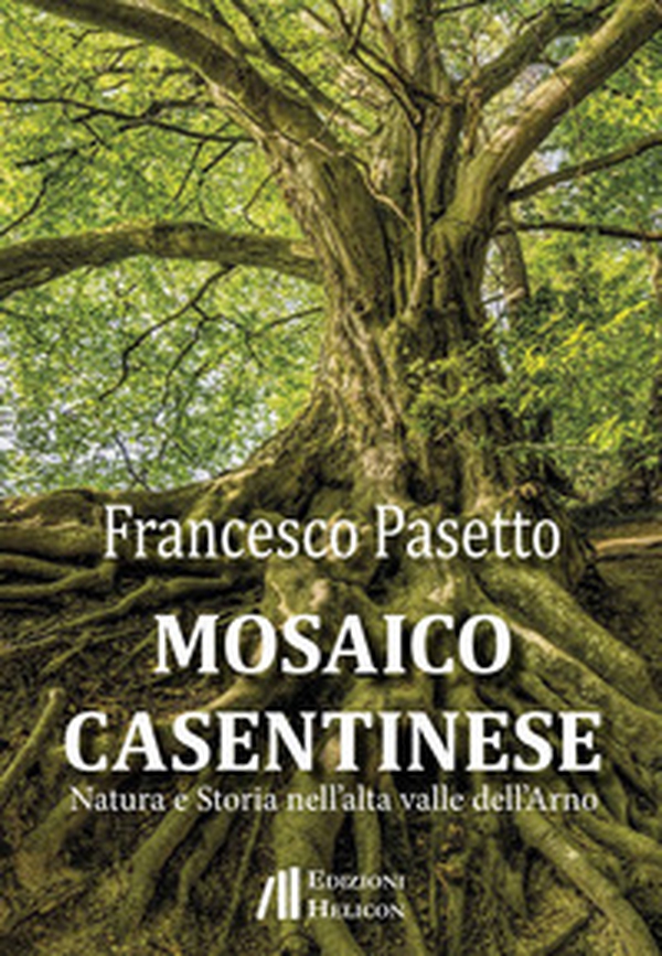 Mosaico casentinese. Natura e storia nell'alta valle dell'Arno - Librerie.coop Mosaico casentinese. Natura e storia nell'alta valle dell'Arno - Librerie.coop