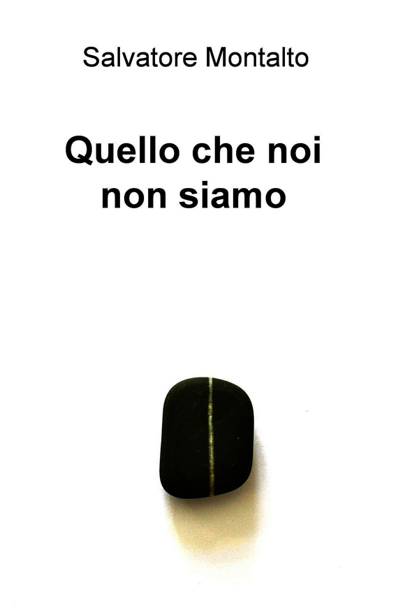Quello che noi non siamo - Librerie.coop Quello che noi non siamo - Librerie.coop