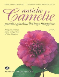 Antiche camelie del Lago Maggiore-Antique camellias of lake Maggiore - Librerie.coop