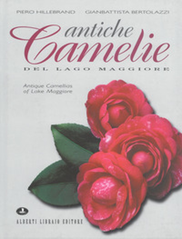 Antiche camelie del Lago Maggiore-Antique camellias of lake Maggiore - Librerie.coop
