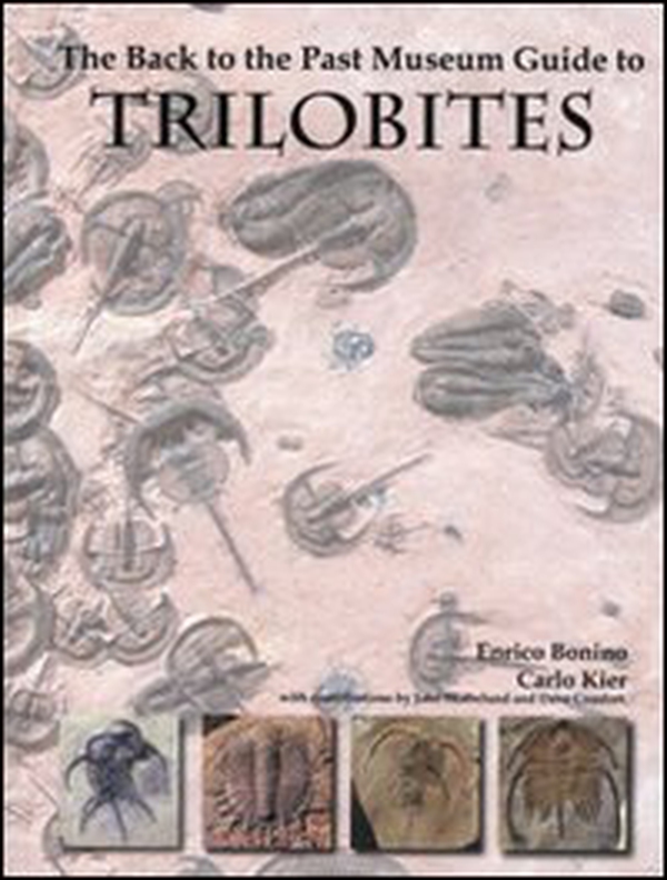 Trilobites. The Back to the past Museum Guide to - Librerie.coop Trilobites. The Back to the past Museum Guide to - Librerie.coop