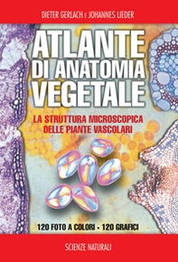Atlante di anatomia vegetale - Librerie.coop Atlante di anatomia vegetale - Librerie.coop