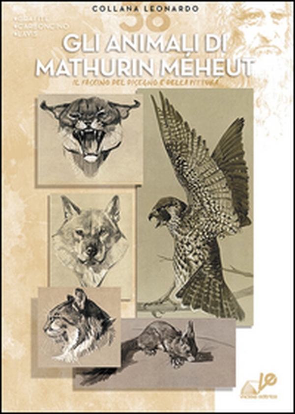 Gli animali di M. Méheut - Librerie.coop Gli animali di M. Méheut - Librerie.coop
