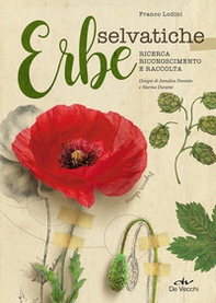 Erbe selvatiche. Ricerca, riconoscimento e raccolta - Librerie.coop