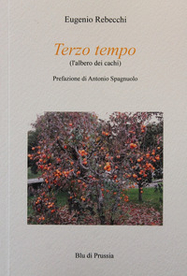 Terzo tempo (l'albero dei cachi) - Librerie.coop Terzo tempo (l'albero dei cachi) - Librerie.coop