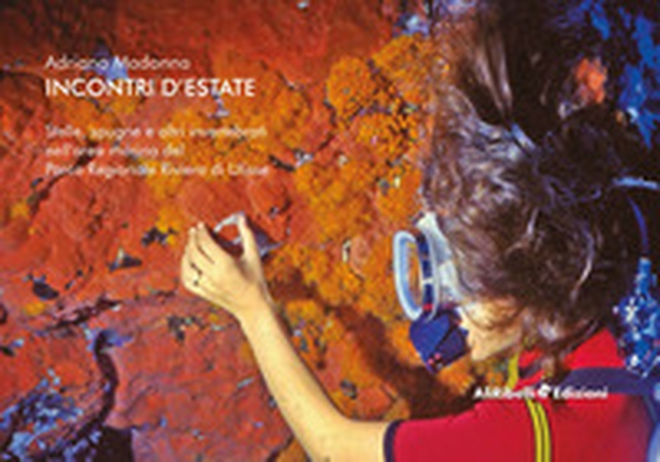 Incontri d'estate. Stelle, spugne e altri invertebrati nell'area marina del Parco Regionale Riviera di Ulisse - Librerie.coop Incontri d'estate. Stelle, spugne e altri invertebrati nell'area marina del Parco Regionale Riviera di Ulisse - Librerie.coop