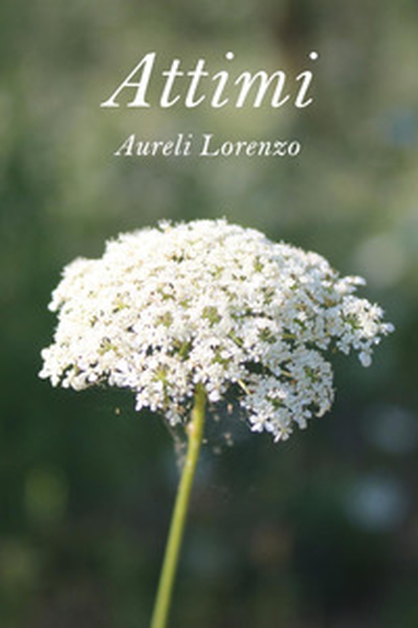 Attimi - Librerie.coop Attimi - Librerie.coop