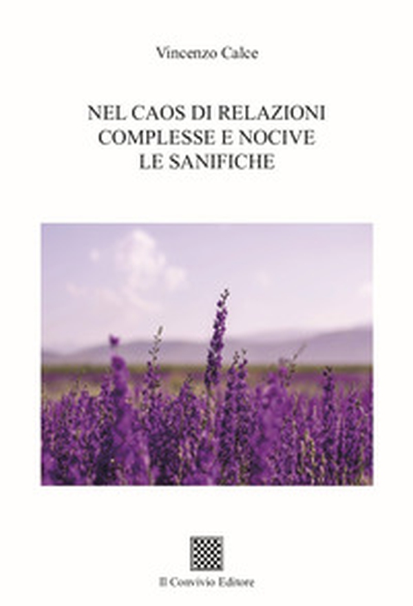 Nel caos di relazioni complesse le sanifiche - Librerie.coop Nel caos di relazioni complesse le sanifiche - Librerie.coop