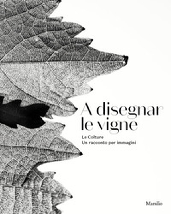 A disegnar le vigne. Le Colture. Un racconto per immagini. Ediz. italiana e inglese - Librerie.coop A disegnar le vigne. Le Colture. Un racconto per immagini. Ediz. italiana e inglese - Librerie.coop