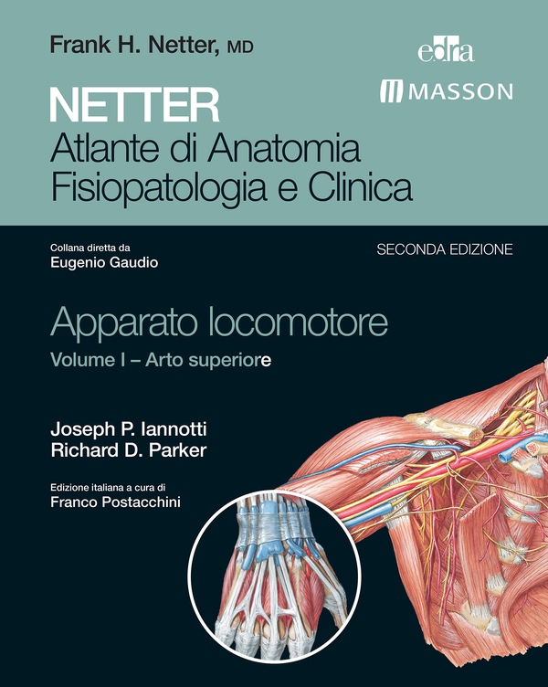 NETTER Atlante di anatomia fisiopatologia e clinica: Apparato Locomotore 1 - Librerie.coop