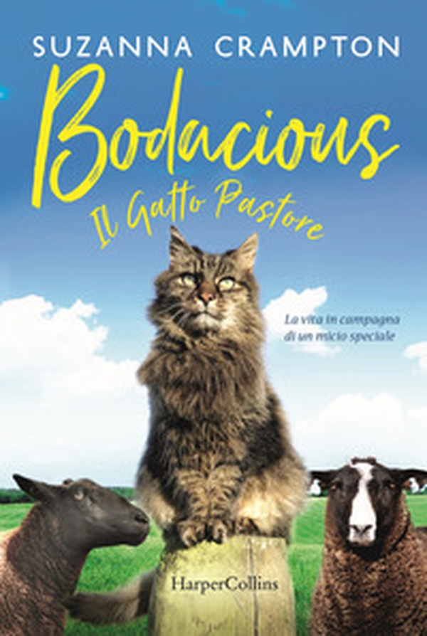 Bodacious. Il gatto pastore - Librerie.coop Bodacious. Il gatto pastore - Librerie.coop