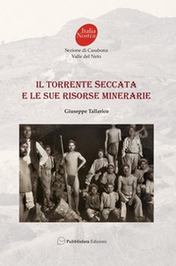 Il torrente Seccata e le sue risorse minerarie - Librerie.coop Il torrente Seccata e le sue risorse minerarie - Librerie.coop