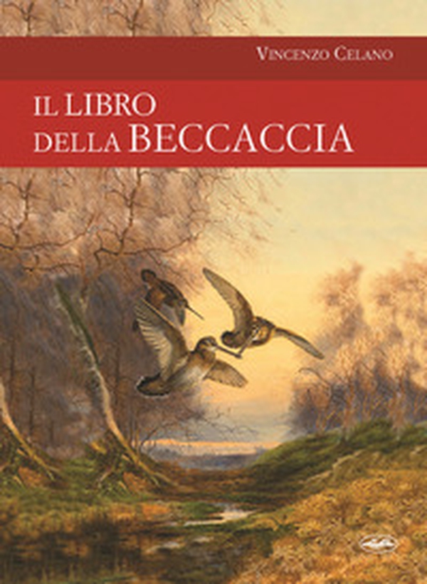 Il libro della beccaccia - Librerie.coop Il libro della beccaccia - Librerie.coop