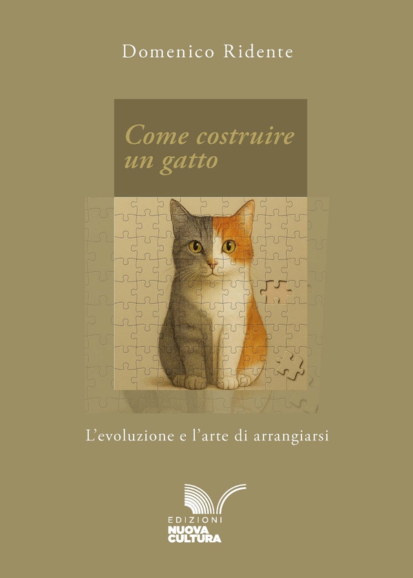Come costruire un gatto - Librerie.coop
