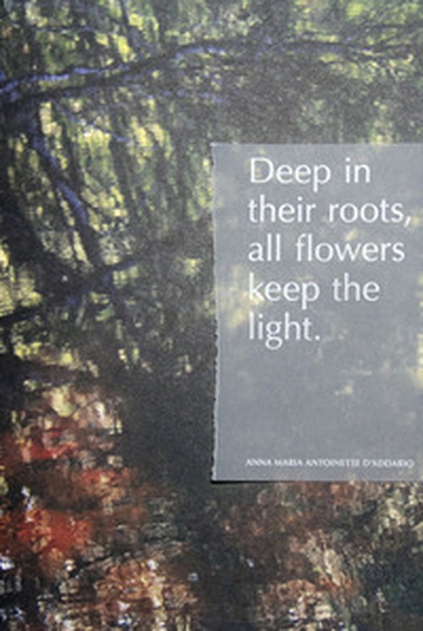 Deep in their roots, all flowers keep the light - Librerie.coop Deep in their roots, all flowers keep the light - Librerie.coop