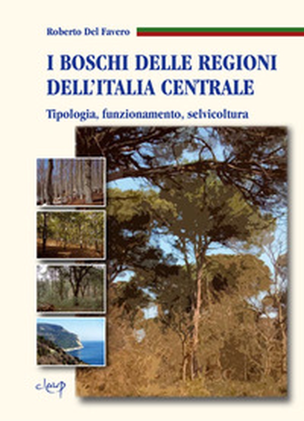 I boschi delle regioni dell'Italia centrale. Tipologia, funzionamento, selvicoltura - Librerie.coop I boschi delle regioni dell'Italia centrale. Tipologia, funzionamento, selvicoltura - Librerie.coop