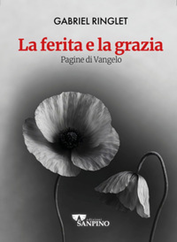 La ferita e la grazia. Pagine di Vangelo - Librerie.coop