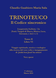 Trinoteuco. Il Codice Sincronico Kodikos Sugkhronikes - Skh (Fonti: Vangeli di Marco, Matteo, Luca, Giovanni, e Atti 1 e 2) - Vol. 6\2 - Librerie.coop