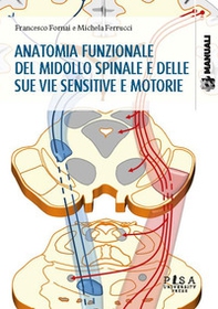 Anatomia funzionale del midollo spinale e delle sue vie sensitive e motorie - Librerie.coop