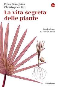 La vita segreta delle piante - Librerie.coop La vita segreta delle piante - Librerie.coop