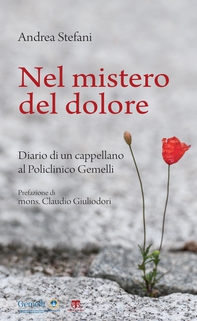 Nel mistero del dolore - Librerie.coop
