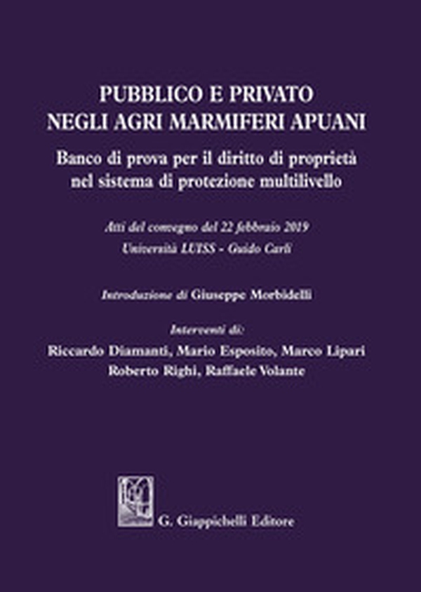 Pubblico e privato negli agri marmiferi apuani. Banco di prova per il diritto di proprietà nel sistema di protezione multilivello. Atti del Convegno (22 febbraio 2019) - Librerie.coop Pubblico e privato negli agri marmiferi apuani. Banco di prova per il diritto di proprietà nel sistema di protezione multilivello. Atti del Convegno (22 febbraio 2019) - Librerie.coop