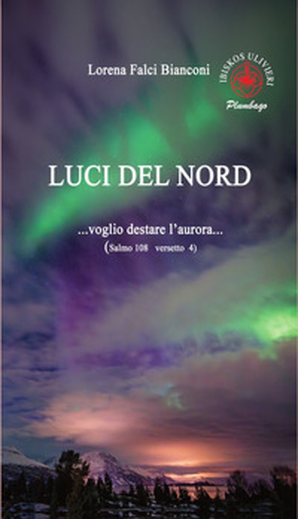 Luci del Nord. ...Voglio destare l'aurora... (Salmo 108 versetto 4) - Librerie.coop