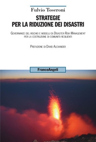 Strategie per la riduzione dei disastri. Governance del rischio e modelli di Disaster Risk Management per la costruzione di comunità resilienti - Librerie.coop
