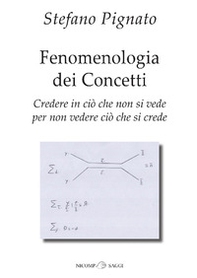 Fenomenologia dei concetti. Credere in ciò che non si vede per non vedere ciò che si crede - Librerie.coop