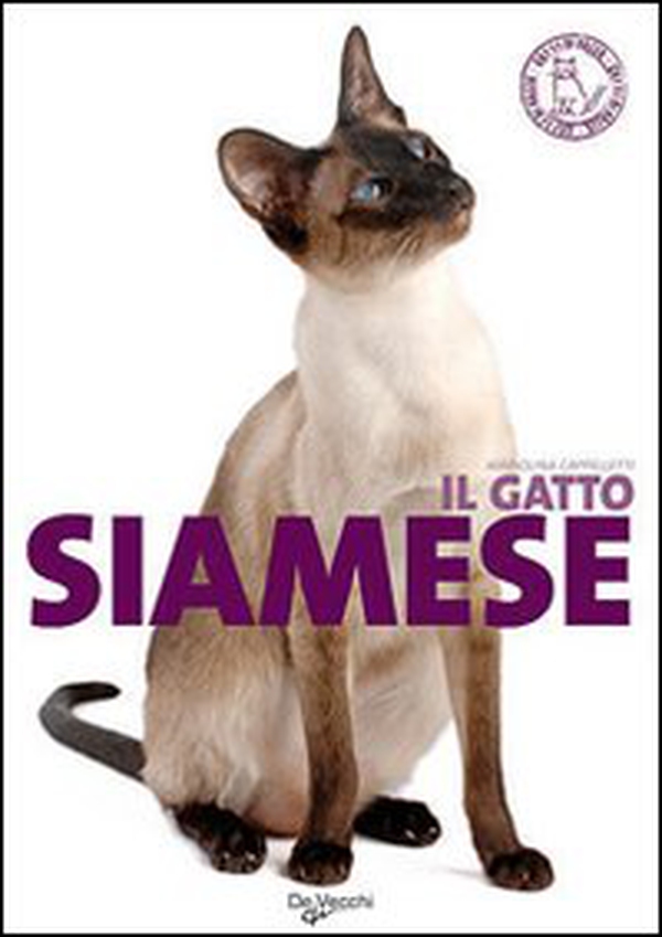 Il gatto siamese - Librerie.coop Il gatto siamese - Librerie.coop