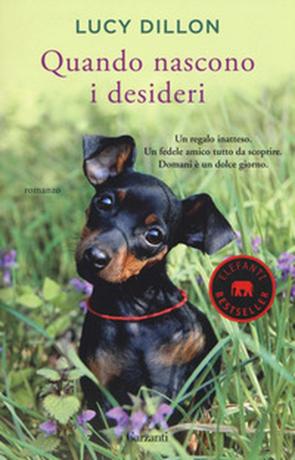 Quando nascono i desideri - Librerie.coop Quando nascono i desideri - Librerie.coop