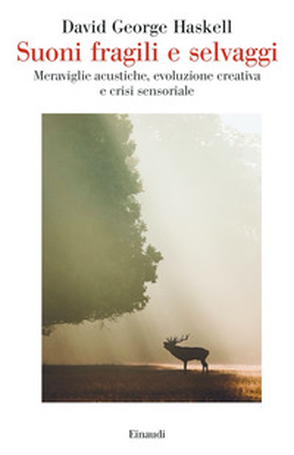 Suoni fragili e selvaggi. Meraviglie acustiche, evoluzione creativa e crisi sensoriale - Librerie.coop Suoni fragili e selvaggi. Meraviglie acustiche, evoluzione creativa e crisi sensoriale - Librerie.coop
