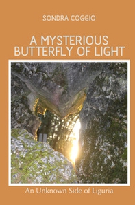 A mysterious butterfly of light - Librerie.coop