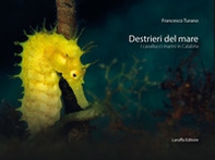 Destrieri del mare. I cavallucci marini in Calabria - Librerie.coop