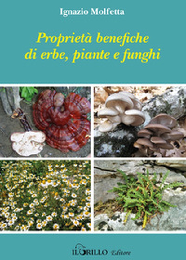 Proprietà benefiche di erbe, piante e funghi - Librerie.coop Proprietà benefiche di erbe, piante e funghi - Librerie.coop