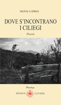 Dove s'incontrano i ciliegi - Librerie.coop