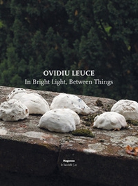 Ovidiu Leuce. In bright light, between things. Ediz. italiana e inglese - Librerie.coop