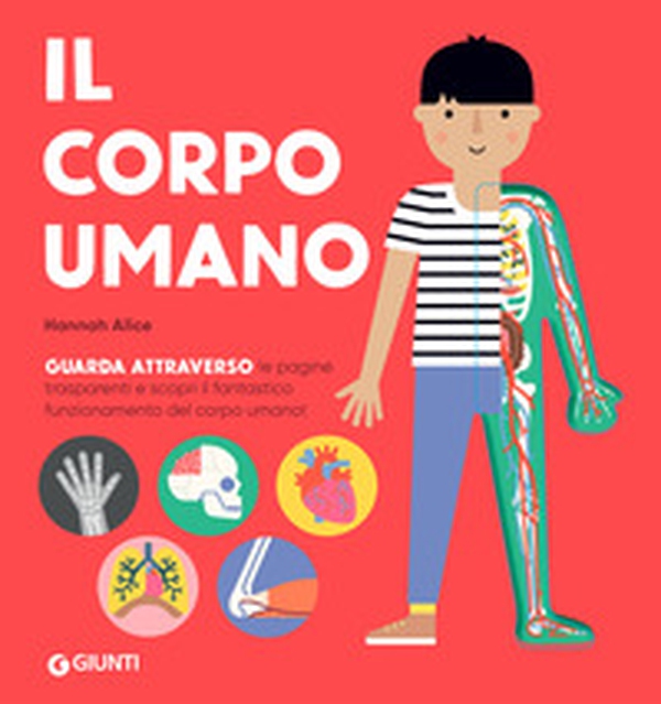 Il corpo umano - Librerie.coop Il corpo umano - Librerie.coop