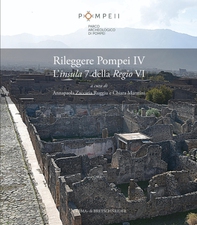 Rileggere Pompei IV. L'insula 7 della Regio VI - Librerie.coop