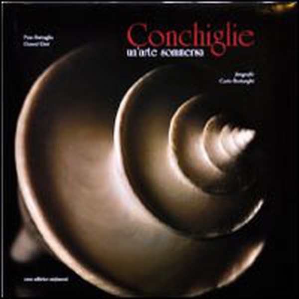 Conchiglie. Un'arte sommersa - Librerie.coop Conchiglie. Un'arte sommersa - Librerie.coop