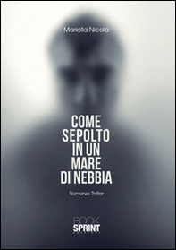 Come sepolto in un mare di nebbia - Librerie.coop