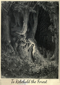 To rebehold the forest. A post-eschatological apocalypse RPG - Librerie.coop