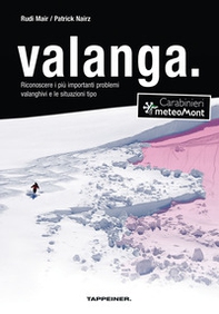 Valanga. Riconoscere le 10 più importanti situazioni tipo di pericolo valanghe - Librerie.coop
